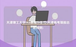 天津理工大學(xué)2023錄取分?jǐn)?shù)線(xiàn)(天津高考填報(bào)志愿規(guī)則)
