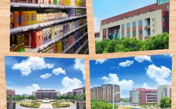 合肥共達(dá)職業(yè)技術(shù)學(xué)院復(fù)讀班怎樣？升學(xué)率高嗎？——2025年安徽高考考不上專科依然可以上大學(xué)！