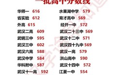 武漢高中錄取分?jǐn)?shù)線