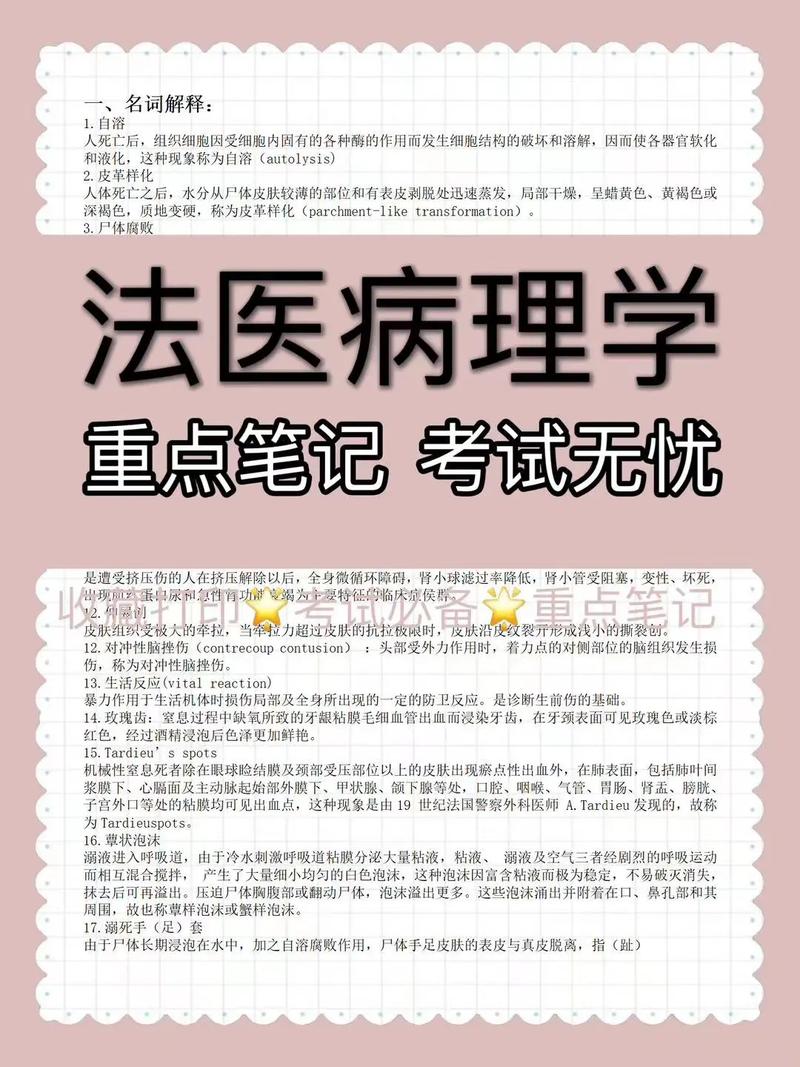 考法醫研究生有什么要求(法醫學考研考哪些科目)-圖1