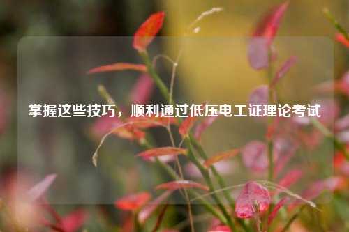 掌握這些技巧，順利通過低壓電工證理論考試-圖1